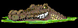 cajun_barn_croc.jpg